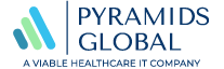 Medical Billing Solutions For Medical Practices - Pyramids Global