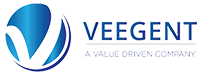 Web Application Security Audit &amp; Assessment | Veegent