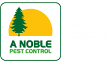 Termite Treatments, inspections, protection, control & removal Sydney | A. Noble Pest Control