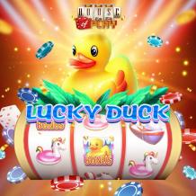 Play Lucky Duck Slot Game