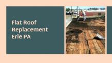 Brief Information about a Flat Roof Replacement