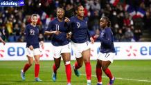 Renard will take over as the France Women football team coach