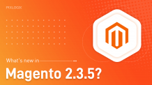 Magento 2.3.5 released- A quick overview of the new features! - Pixlogix