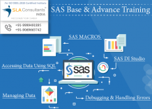What are the top institutes for SAS in Delhi NCR? - Quora
