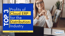 cloud erp for distribution