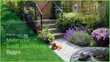 How to Make Your Small Garden Look Bigger