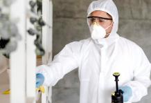 Pest Control Services Ipswich | Same-Day Pest Control