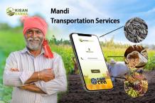 What Are the Importance of Mandi Transportation Services