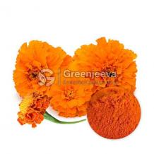 marigold extract, marigold flower extract, marigold extract for eyes, marigold flower supplement, organic marigold extract