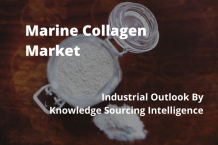 marine collagen market