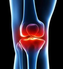 Harvard Trained Knee Pain Doctor | Board Certified Knee Pain Specialist – Pain Treatment Specialists