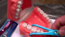 Good Practices Equal Great Oral Brushing Health