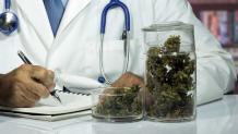 Medical Marijuana Doctors in Florida