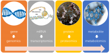   	Metabolomics Service - Creative Proteomics  