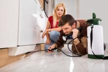 The Right Way to Deal with Pests 