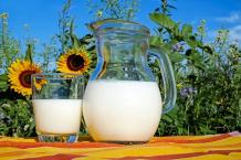 Milk for weight loss - how does milk help to lose weight?