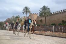 Mallorca horse | Rancho Ses Roques | Alcudia