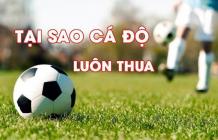 Tại sao cá độ bóng đá luôn thua