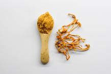 Mushroom Powder Vs Extracts – which make the Best Mushroom Supplements?
