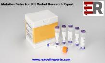 Mutation Detection Kit Market – Global Industry Trend Analysis 2014 to 2018 and Forecast 2019 – 2024