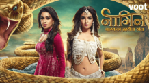 Naagin (TV Series) Cast, Story, Review, Gossip &amp; More