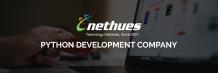 Top Python Development Company in USA | Nethues Technologies