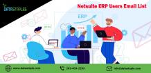 NetSuite ERP Users Email List | DataStaples
