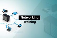 Networking Online Course Is Essential For Your Success. Read This To Find Out Why?