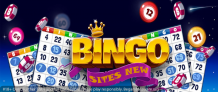 Winning player new bingo sites uk continue games Bingo Sites New