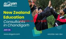 Top 3 UG Courses to Study in New Zealand After 12th