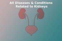  All diseases & conditions & Related to kidneys
