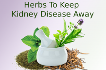  Herbs to Keep Kidney Disease Away