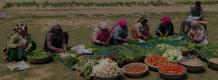 Fresh, organic fruits and vegetables in Delhi, Gurgaon and Noida &ndash; Kosara Agri Ventures LLP    