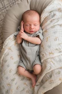 Newborn Photographer Near You in Guelph, Ontario | Baby Photoshoot