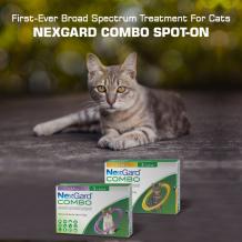 First-Ever Broad Spectrum Treatment For Cats: Nexgard Combo Spot-On