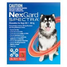  Buy Nexgard Spectra Purple For Large Dogs (15.1-30kg) - Free Shipping