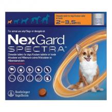 Nexgard Spectra For Dogs | Buy Nexgard Spectra Flea and Worm Treatment
