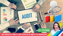 Audit Report - NGO Partner