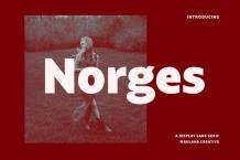 Norges Font Free Download OTF TTF | DLFreeFont