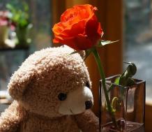 Why Go Giant Teddy Bear This February Fourteenth 2022? - Giant Teddy Bear - Boo Bear Factory