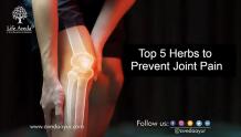 Top 5 herbs to prevent joint pain - Aveda Ayur