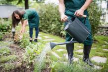 Get a Perfect Lawn by Hiring a Landscape Company in Vancouver