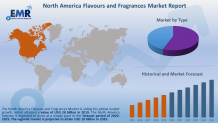 North America Flavours and Fragrances Market Industry Report 2020-2025