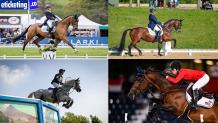 Olympic Paris Organizing Team gears up for Equestrian events at Paris Olympic - Rugby World Cup Tickets | Olympics Tickets | British Open Tickets | Ryder Cup Tickets | Women Football World Cup Tickets