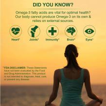 Omega 3 Fish Oil