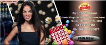 Celebrate online bingo games 2019 in Quid Bingo