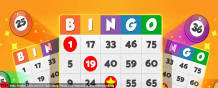 An introduction into the world of online bingo sites - Bingo Sites New