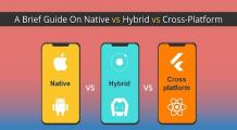 Guide on Native vs Hybrid vs Cross-Platform - Mobile App in 2022