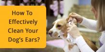 Effectively Clean Your Dog Ears | Ourpetwarehouse