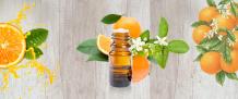 Orange Oil: All About Orange oil